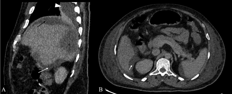 Fig. 8