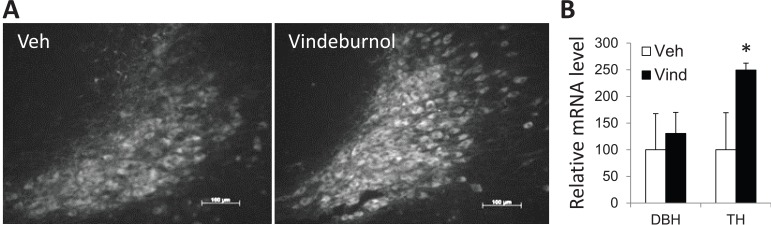 Fig. (4)