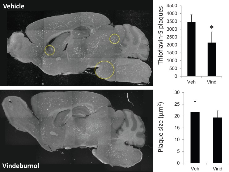 Fig. (3)