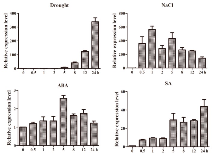 Figure 5