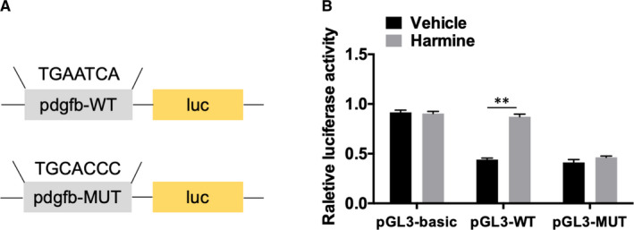 FIGURE 4