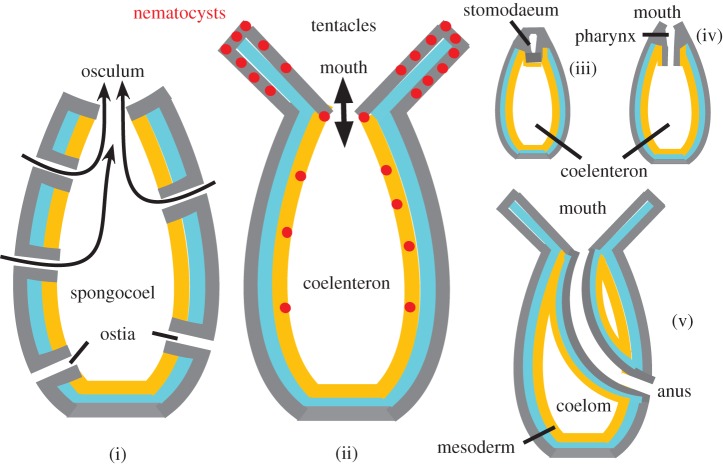 Figure 3.