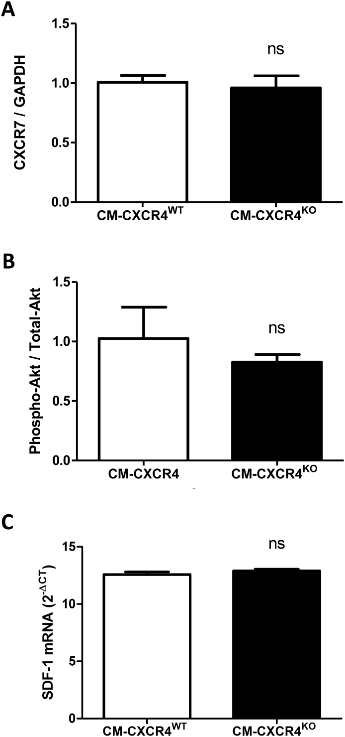 Supplementary Fig. 2