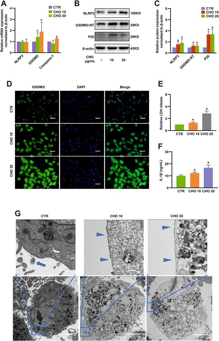 FIGURE 3