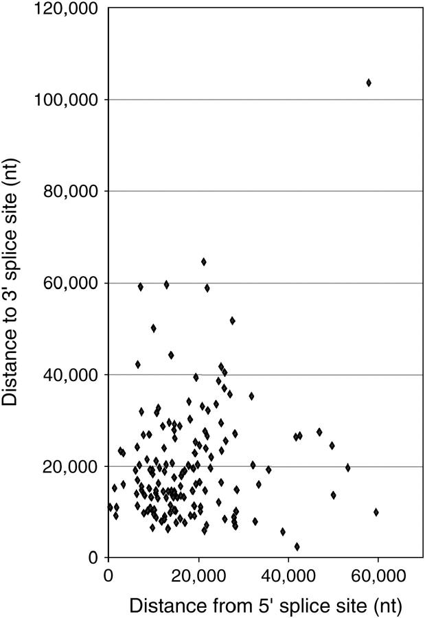 Figure 5.—