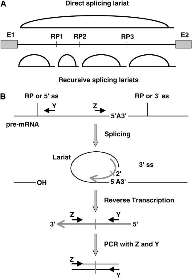 Figure 7.—