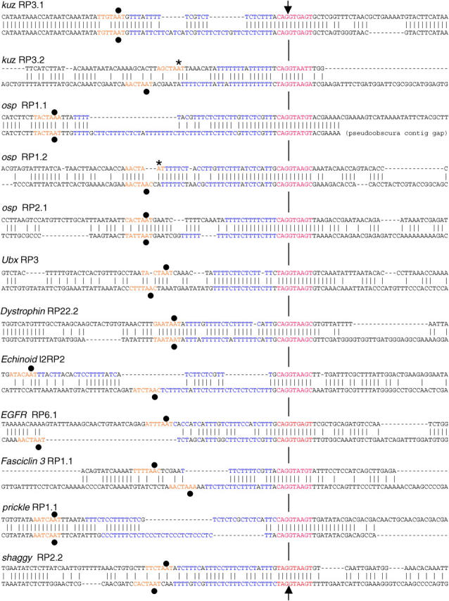 Figure 4.—