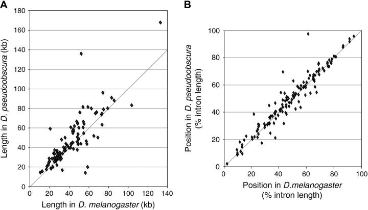 Figure 3.—