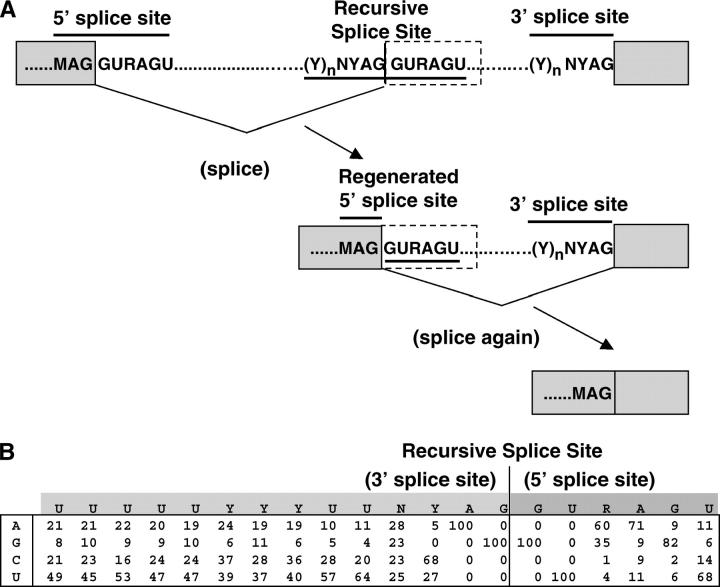 Figure 1.—