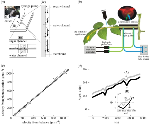 Figure 2.