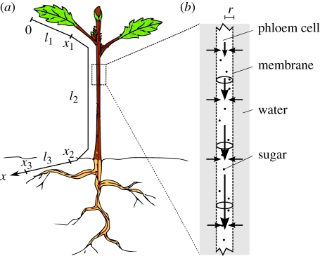 Figure 1.