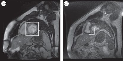 Figure 1.