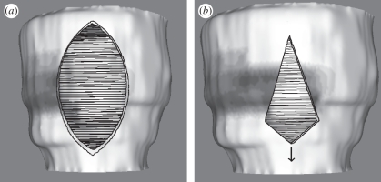 Figure 8.