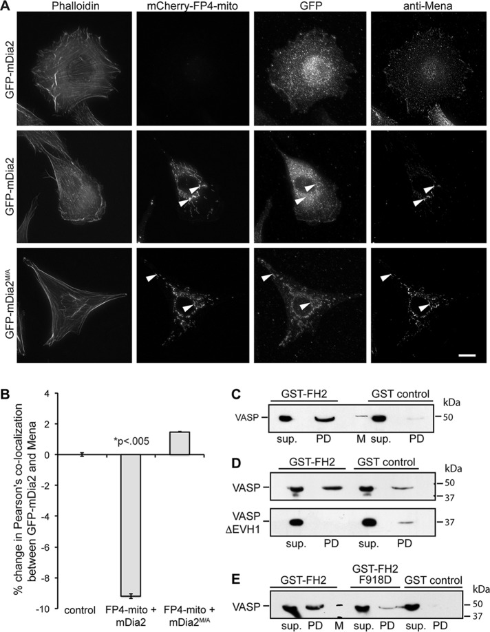 FIGURE 3: