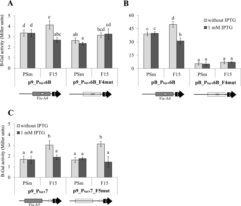 Fig 11