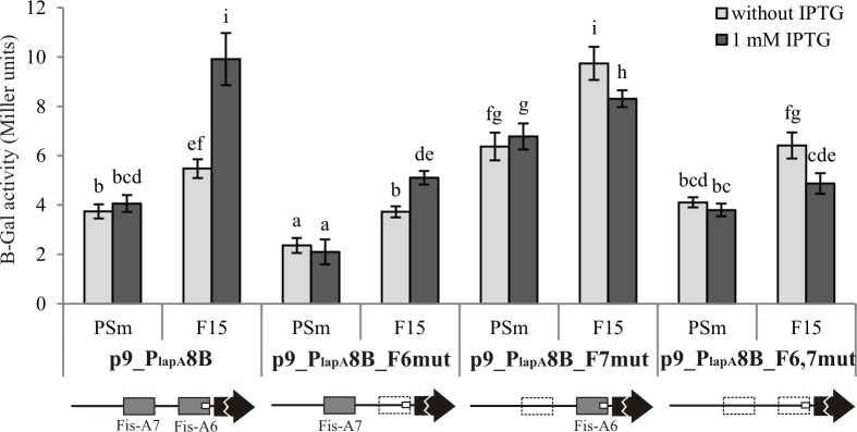 Fig 10