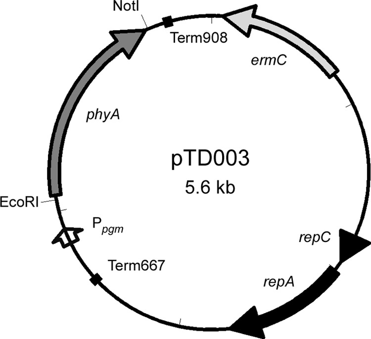 FIG 1