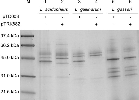 FIG 2