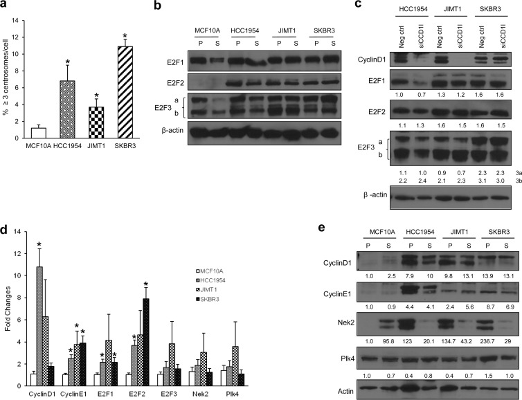 FIG 1