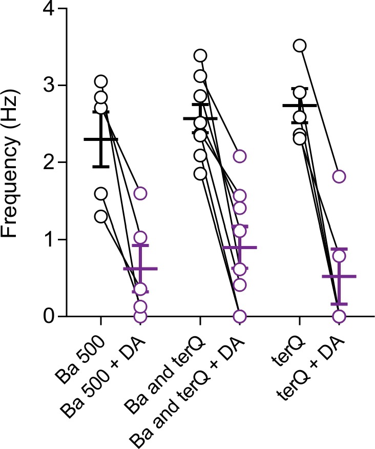 Figure 3—figure supplement 1.