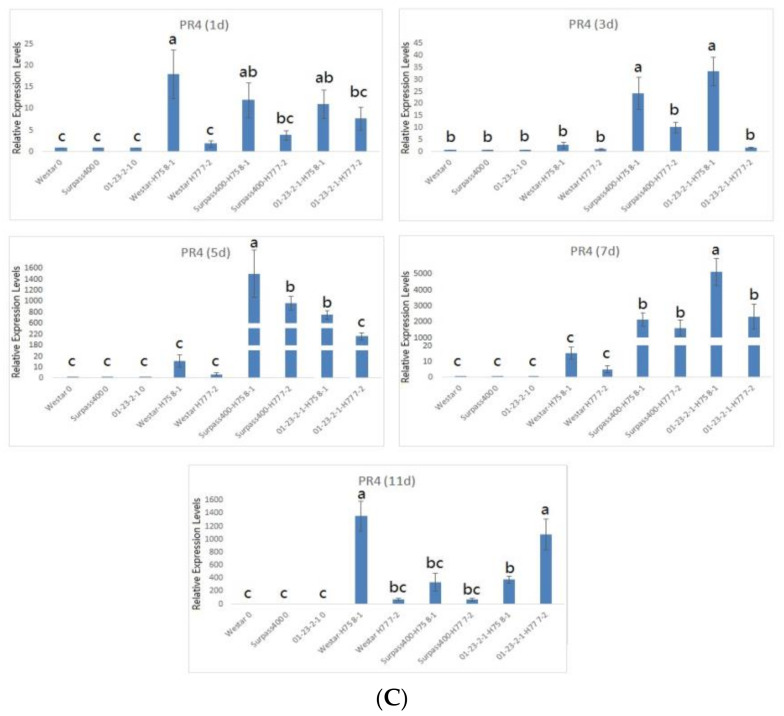 Figure 6