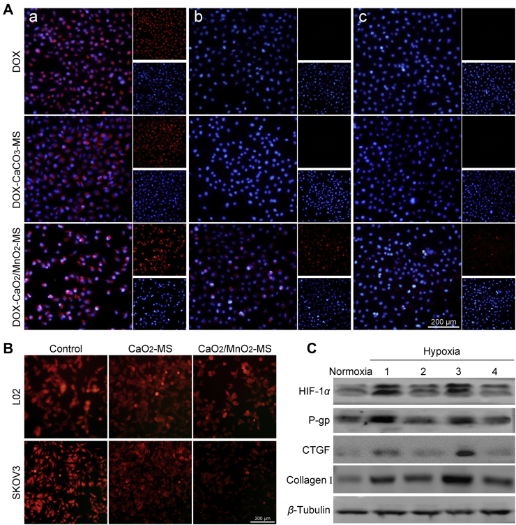 Figure 6