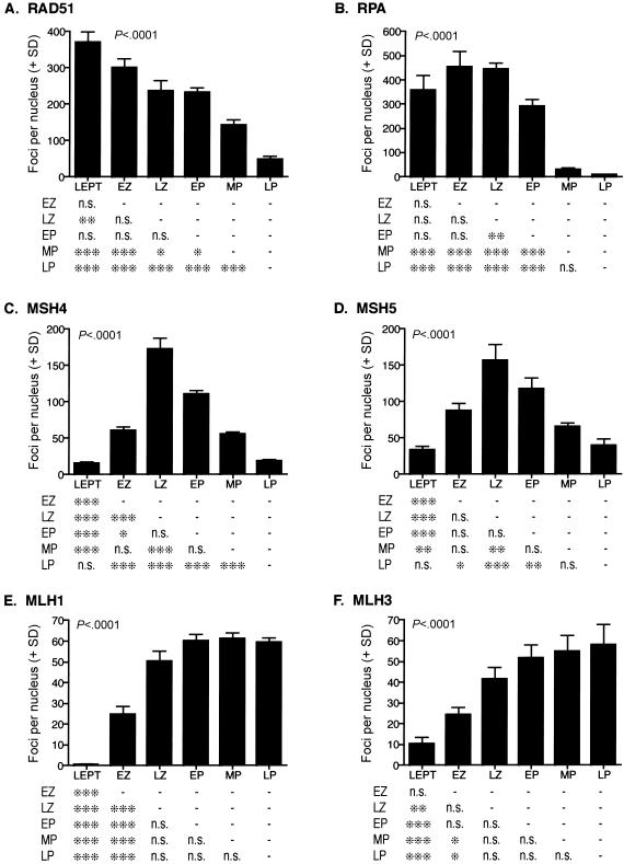 Figure  2