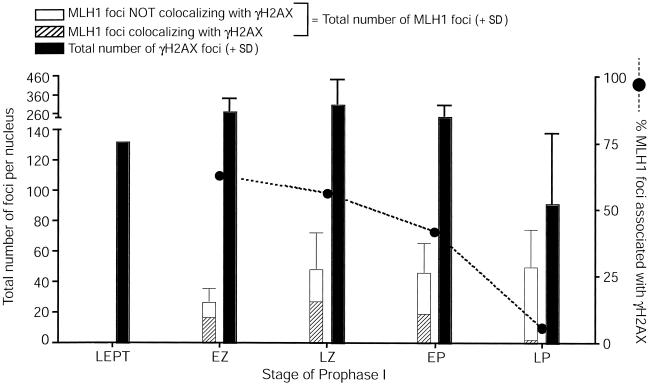 Figure  6