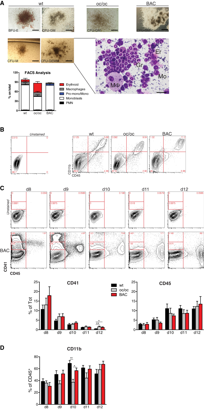 Figure 3