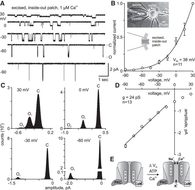 Figure 1.