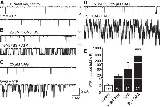 Figure 7.