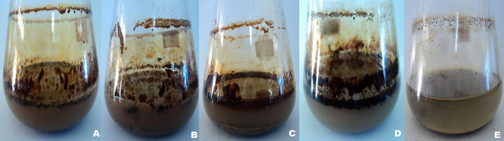 Fig. 10