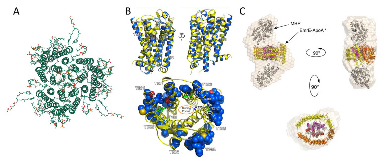 Figure 11