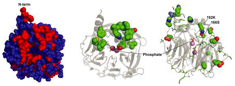 Figure 17