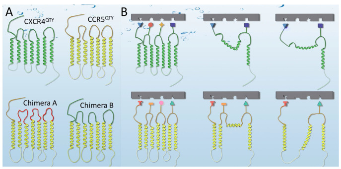 Figure 22