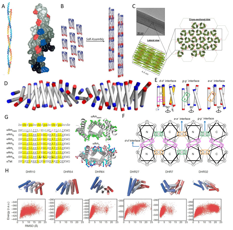 Figure 24