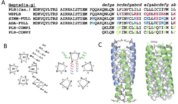 Figure 9