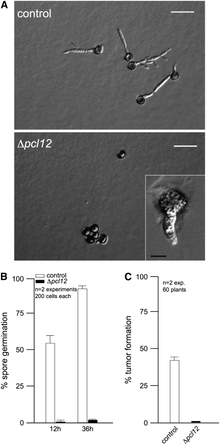 Figure 10.