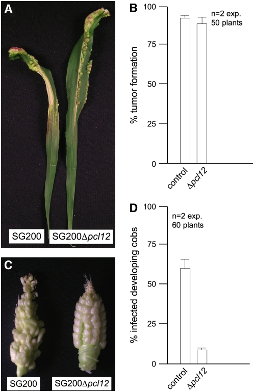 Figure 9.