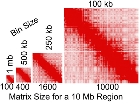 FIGURE 4