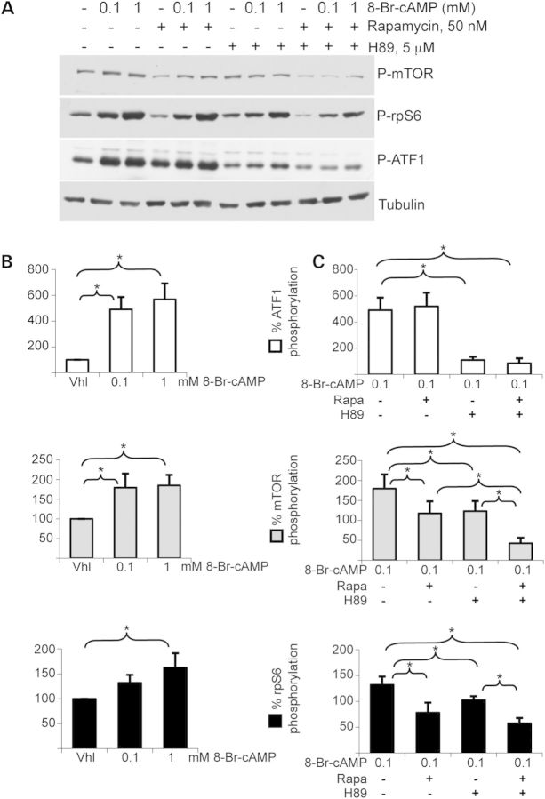 Figure 3.