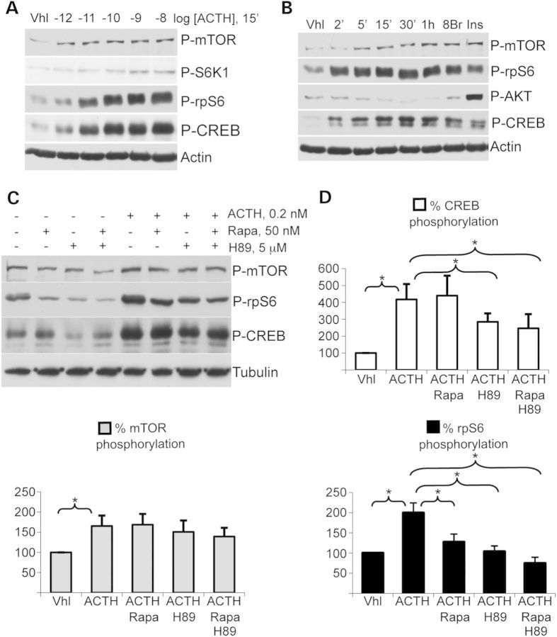 Figure 4.