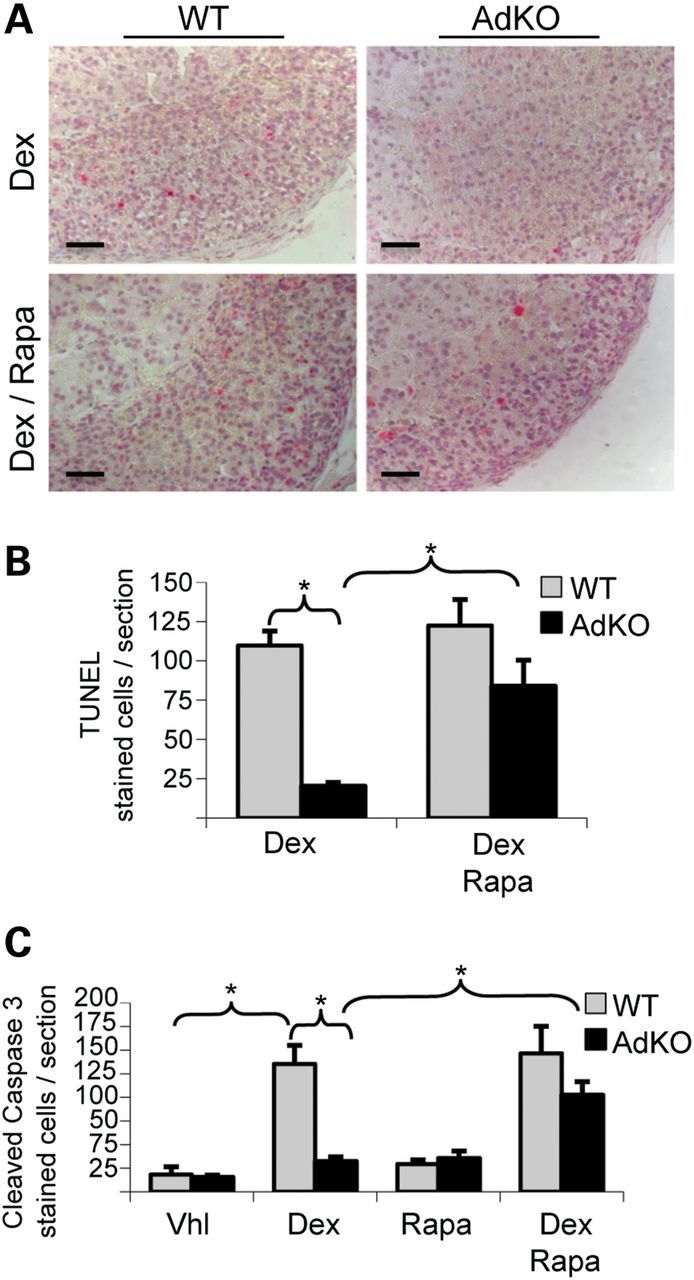 Figure 2.