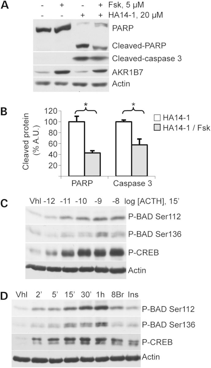 Figure 5.