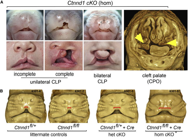 Figure 6