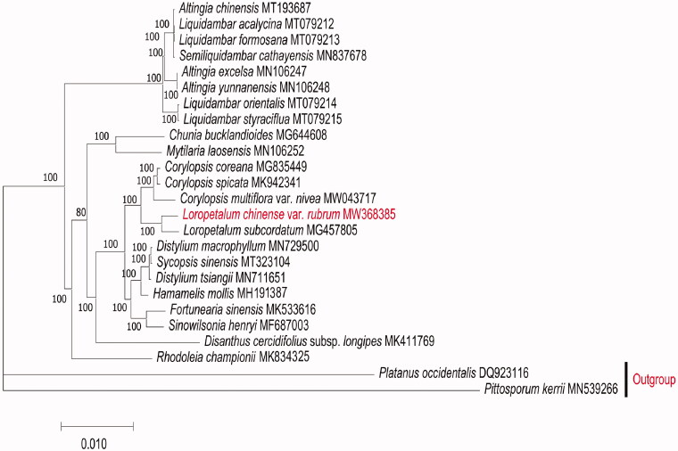 Figure 1.