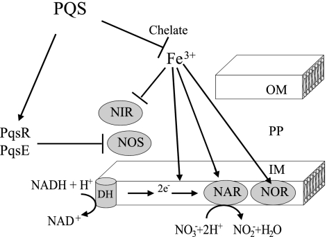 FIG. 9.