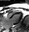 Figure 1)
