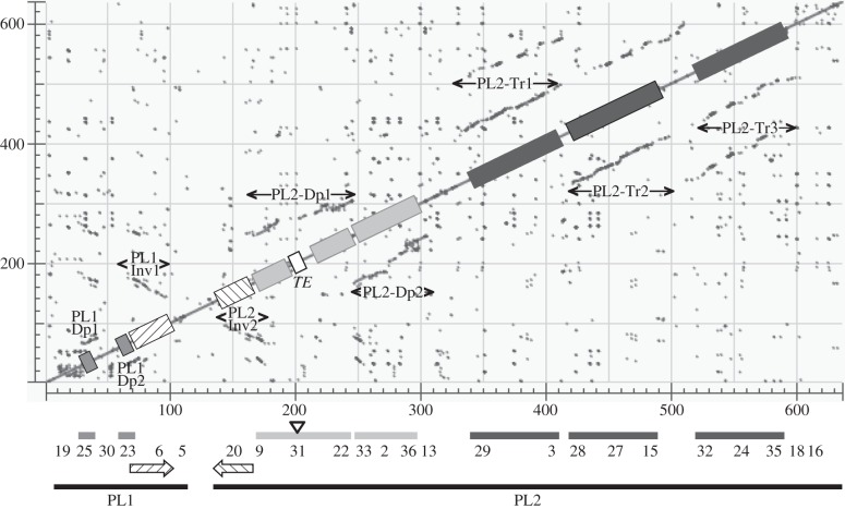 Figure 5.