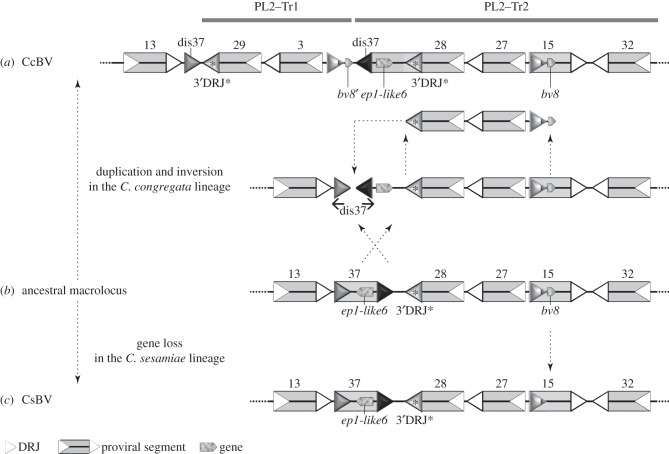 Figure 7.